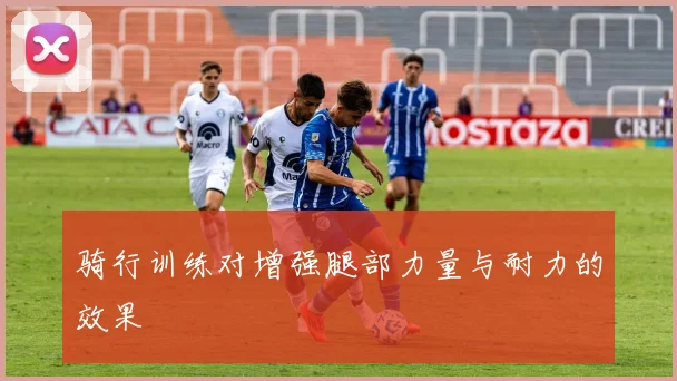 骑行训练对增强腿部力量与耐力的效果