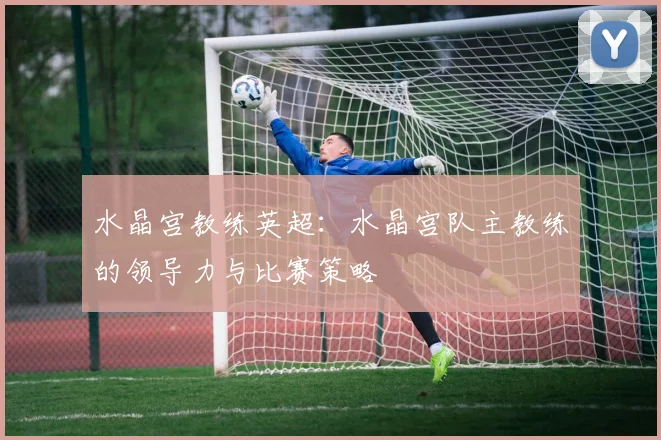 水晶宫教练英超:水晶宫队主教练的领导力与比赛策略